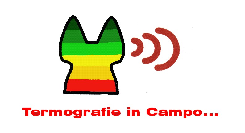 Termografie in Campo